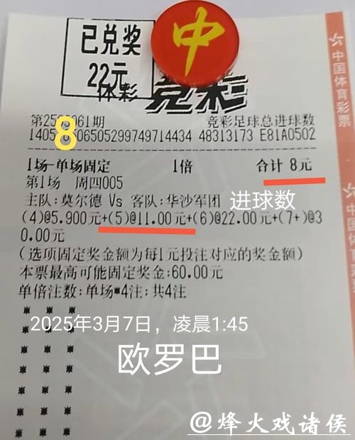 世界杯投注经典案例与成功策略 世界杯投注经典案例与成功策略